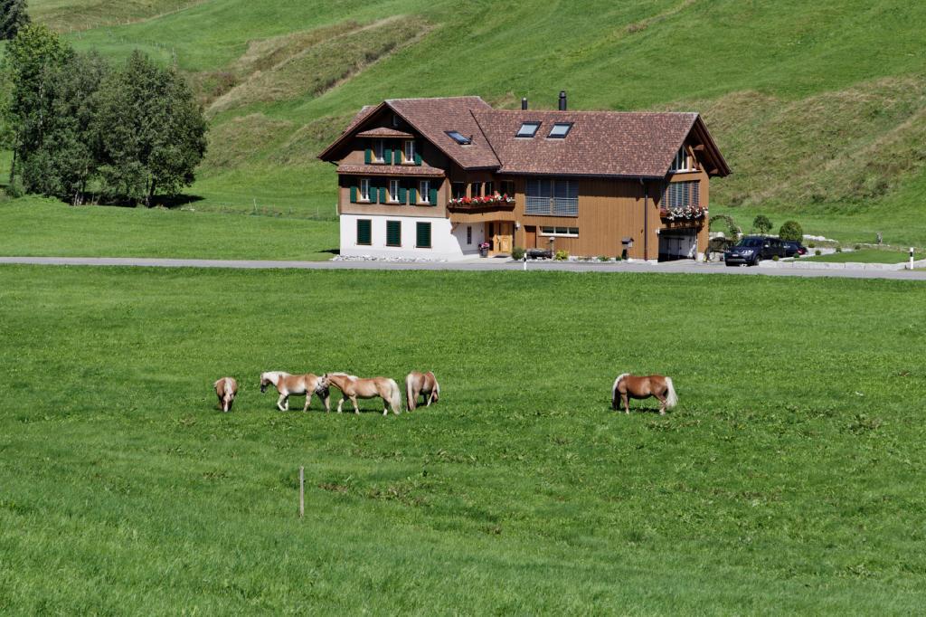 Haflingerhof Fruehboden Egg Exterior photo