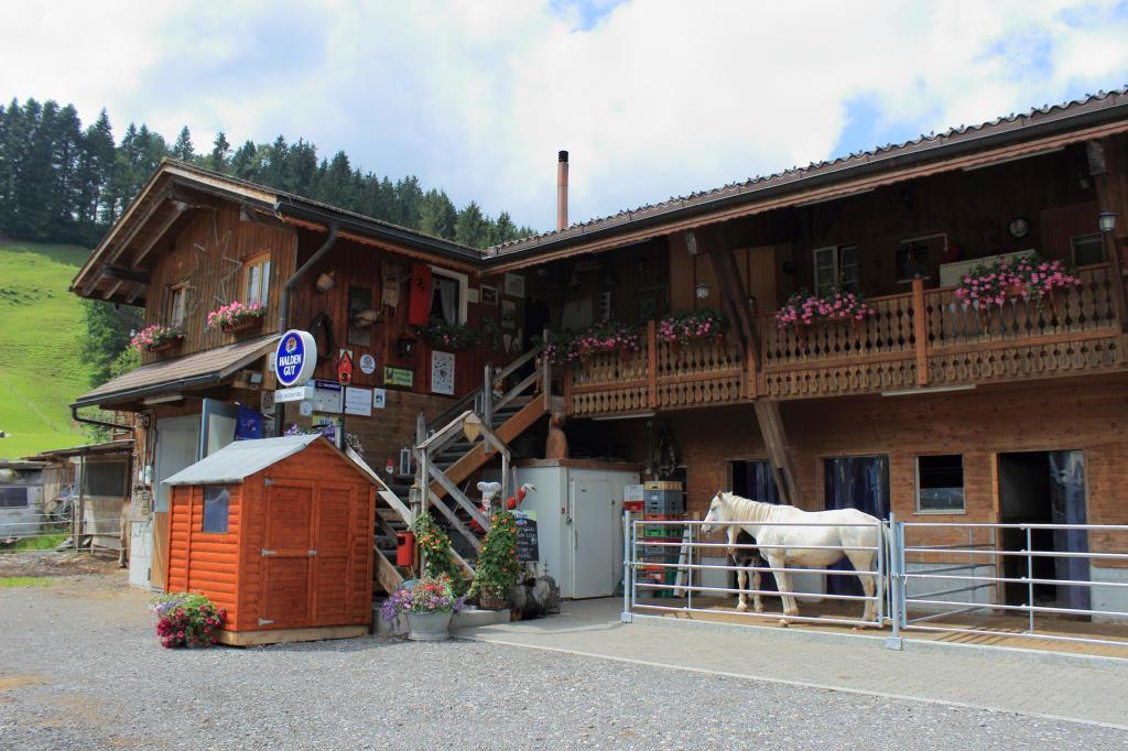 Haflingerhof Fruehboden Egg Exterior photo