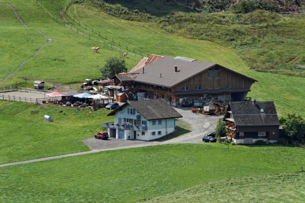 Haflingerhof Fruehboden Egg Exterior photo